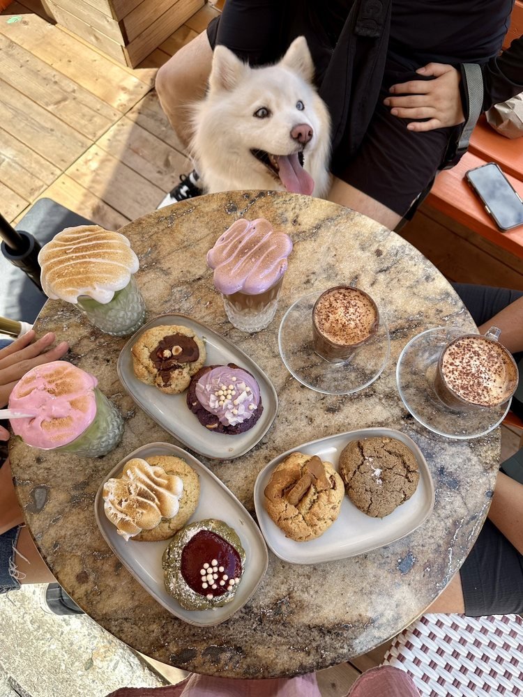 Table de terrasse garnie de boissons fleuries, cookies et chocolats chauds, avec un chien Samoyède curieux.